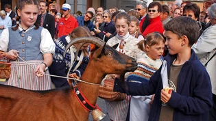 Blick zurück: Im Jahr 2003 wird der Kanton seinem Motto «Graubünden überrascht» auch am Festumzug gerecht. Blick zurück: Im Jahr 2003 wird der Kanton seinem Motto «Graubünden überrascht» auch am Festumzug gerecht.
