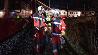 Feuerwehrmitglieder tragen einen Patienten zwischen Zug und Abhang zum Ende des Zuges – dort wartet der schienentaugliche Feuerwehrlastwagen.
Feuerwehrmitglieder tragen einen Patienten zwischen Zug und Abhang zum Ende des Zuges – dort wartet der schienentaugliche Feuerwehrlastwagen.