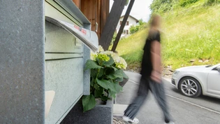Der Weg ist zu weit: Dieser Briefkasten eines Einfamilienhauses in Graubünden steht fünf Gehschritte von der Strasse entfernt und muss nun der Postverordnung entsprechend umplatziert werden. Der Weg ist zu weit: Dieser Briefkasten eines Einfamilienhauses in Graubünden steht fünf Gehschritte von der Strasse entfernt und muss nun der Postverordnung entsprechend umplatziert werden.