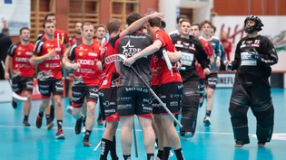 Grosse Erleichterung: Mit dem Sieg gegen Thurgau schafft Alligator Malans doch noch die Play-off-Qualifikation. Grosse Erleichterung: Mit dem Sieg gegen Thurgau schafft Alligator Malans doch noch die Play-off-Qualifikation.