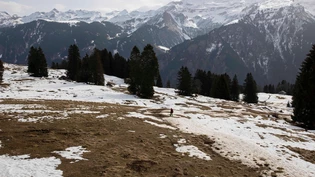 Es bleibt das Hoffen auf (genügend) Regen: Weil in diesem Winter so wenig Schnee fiel, fehlt nun das Schmelzwasser in den kommenden Monaten.