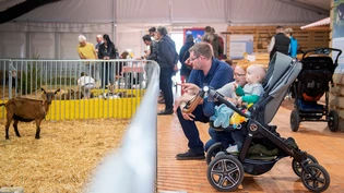 Impressionen der Frühlingsmesse: Familie Tischhauser beobachtet die Ziegen. Impressionen der Frühlingsmesse: Familie Tischhauser beobachtet die Ziegen.