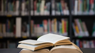 Angefangene Bücher: Unsere Autorin würde am liebsten fünf Bücher gleichzeitig lesen und drei weitere dazukaufen.