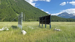 Vorgeschmack: Anhand dieses 1:1-Modells konnte sich die Samedner Bevölkerung ein Bild davon machen, wie die geplante Fotovoltaik-Anlage aussehen soll. Die Betonklötze und Abspannungen sind beim effektiven Bau nicht nötig, da die Module mit Pfählen im Boden verankert würden. Vorgeschmack: Anhand dieses 1:1-Modells konnte sich die Samedner Bevölkerung ein Bild davon machen, wie die geplante Fotovoltaik-Anlage aussehen soll. Die Betonklötze und Abspannungen sind beim effektiven Bau nicht nötig, da die Module mit Pfählen im Boden verankert würden.