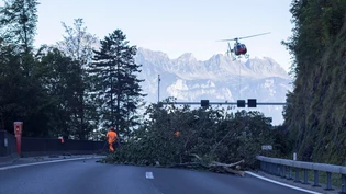 Montagnachmittag auf der A3 am Walensee: Während zwei Stunden transportiert Heli-Linth die abgeholzten Bäume vom Berg auf die Fahrbahn. 