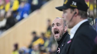 Gegen sein Ex-Team: Christian Wohlwend coacht den HC Ajoie zum 2:1-Sieg in Davos. Gegen sein Ex-Team: Christian Wohlwend coacht den HC Ajoie zum 2:1-Sieg in Davos.