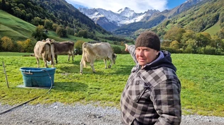Sieben Alpakas verloren: Landwirt Urs Elmer zeigt auf die Wiese, auf der seine Tiere gerissen wurden. Sieben Alpakas verloren: Landwirt Urs Elmer zeigt auf die Wiese, auf der seine Tiere gerissen wurden.