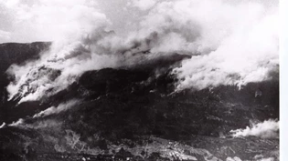 Verheerende Folgen: Nach einer Schiessübung des Militärs brach ein Feuer am Calanda aus. 
