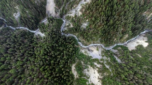 Wild und natürlich: Die Brancla ist der Lebensraum vieler verschiedener Tier- und Pflanzenarten.