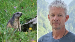 Ärgert sich: Wildhüter Sämi Gantner befürchtet, dass die Touristenströme alpinen Tieren und Pflanzen schaden.