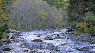 Mit Chemikalien vergiftet: Der Spöl bei Zernez im Schweizerischen Nationalpark soll saniert werden – und das schon seit vielen Jahren. Mit Chemikalien vergiftet: Der Spöl bei Zernez im Schweizerischen Nationalpark soll saniert werden – und das schon seit vielen Jahren.