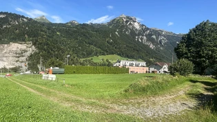 Wohnraum für Familien: Auf der Wiese hinter dem McDonald’s soll das Iseliguet-Quartier gebaut werden.