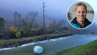 «Solange es nicht regnet, kann das Wasser gut ablaufen», sagt Linthingenieur Ralph Jud zur Situation im halb verstopften Escherkanal beim Gäsi. 