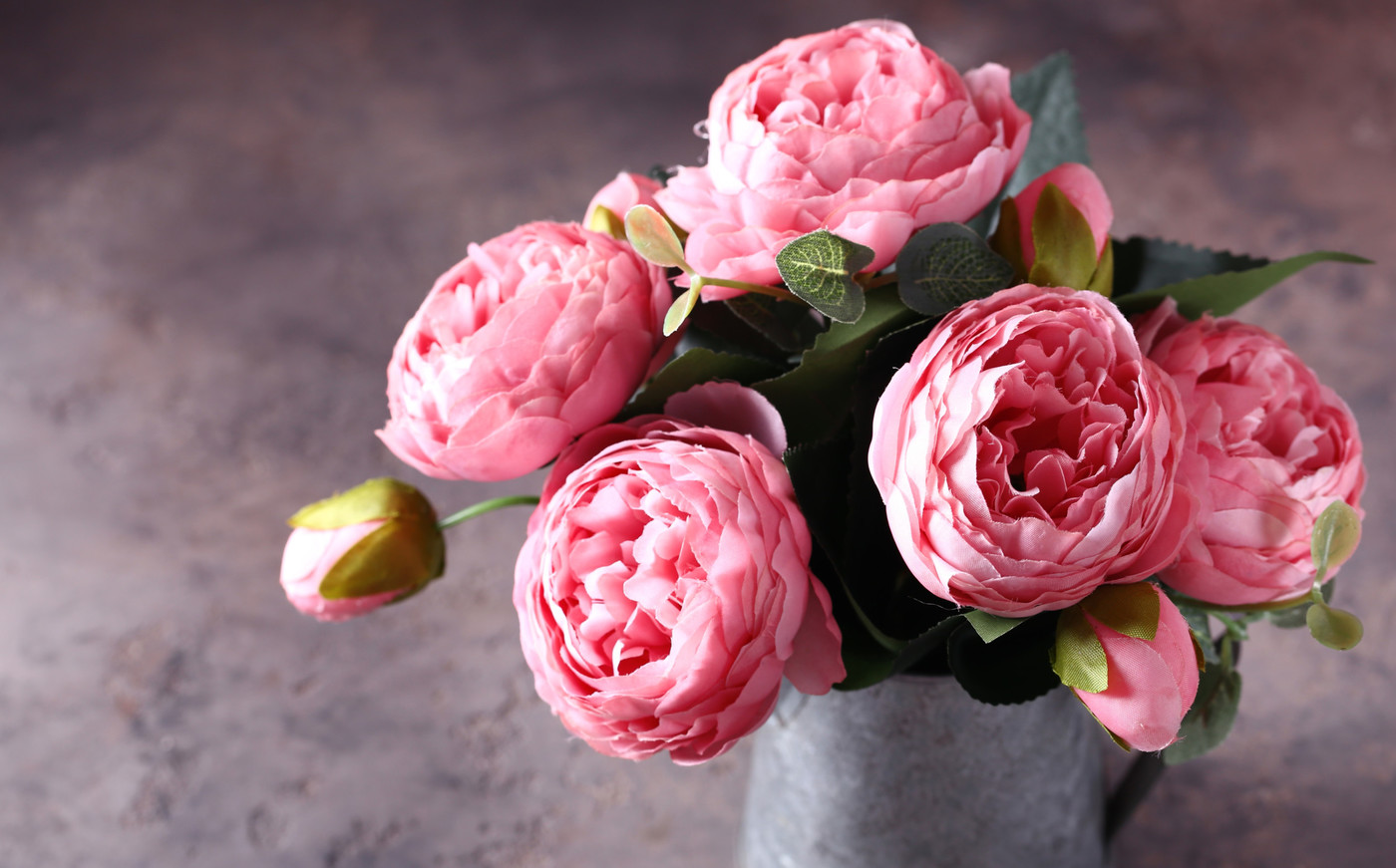 Schöne rosa Pfingstrosen: Sie steht für weibliche Schönheit, Reichtum und ein langes Leben.