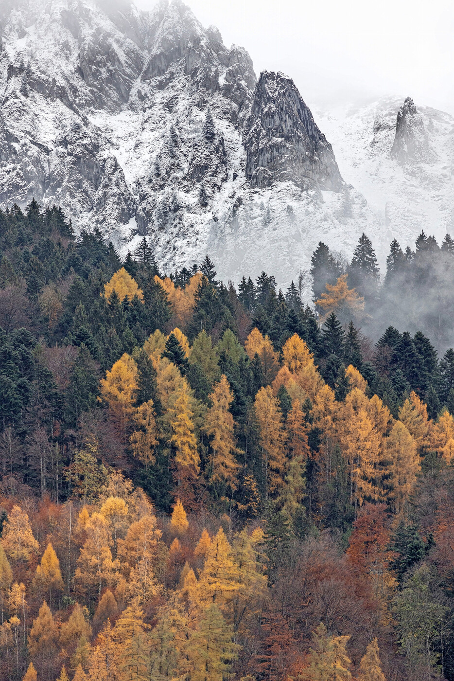 Die besten Aspekte von Herbst und Winter gemischt.