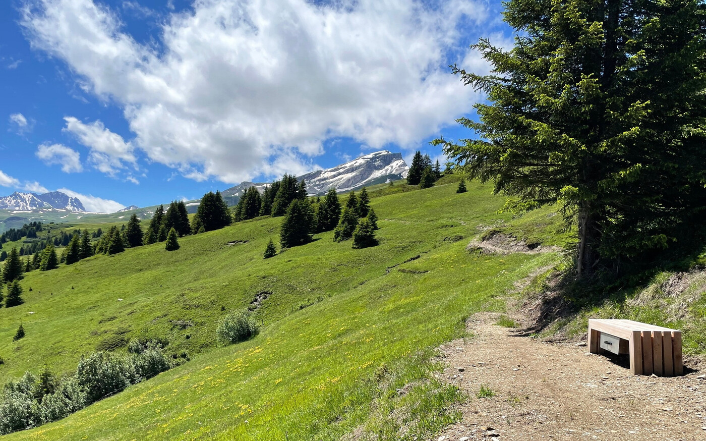 Ausruhen mit Ausblick: Entlang der Senda da panorama wurden an zwei Stellen Beobachtungsbänke platziert.
